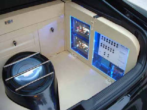 icedscf0008d.jpg