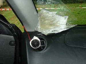 tp09.jpg